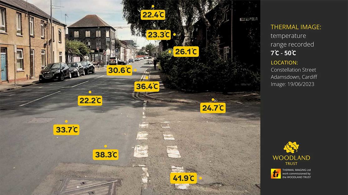 Trees casting shade onto a road with temperatures overlaid, showing the shady areas are cooler