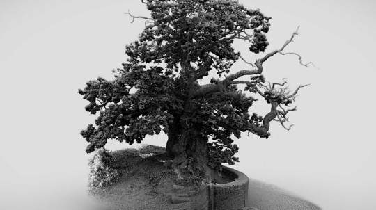 BIO-WELL Research - Woodland Trust