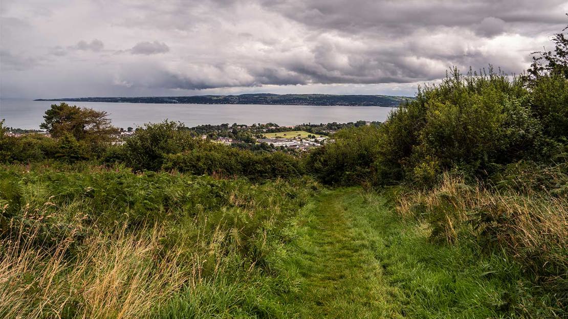 Grassy path with view of distant town and the ocean.