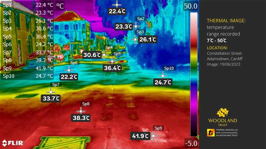 A thermal image of a tree on Constellation Street in Cardiff, showing cooler temperatures beneath the canopy