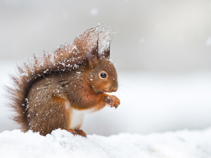 Umbraco.Cms.Infrastructure.PublishedCache.Property