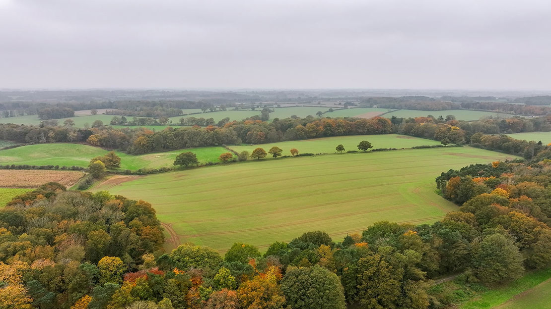 Aerial view of leafy countryside with groups of trees surrounding large fields.