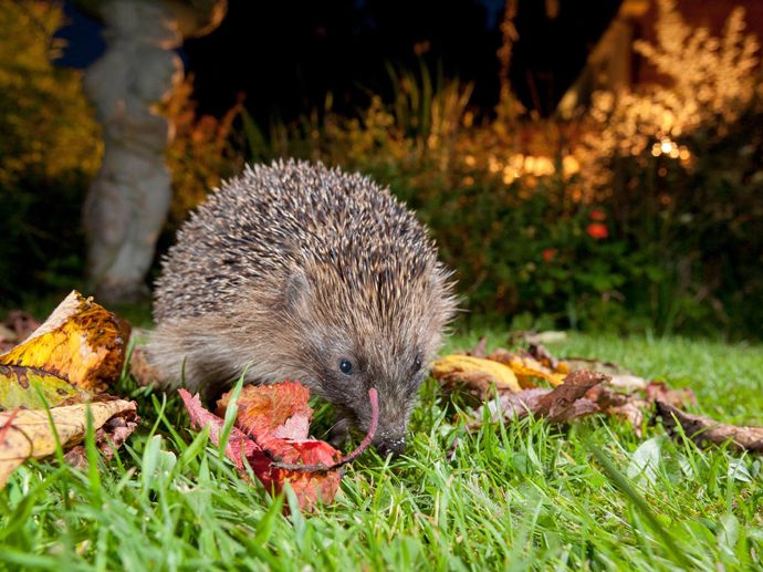 Umbraco.Cms.Infrastructure.PublishedCache.Property