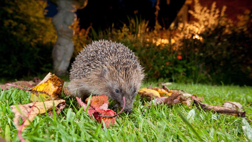 Umbraco.Cms.Infrastructure.PublishedCache.Property