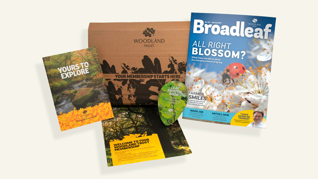 Shot of the Woodland Trust's membership pack for joint and individual members. There is a magazine, a welcome letter and a wood directory.