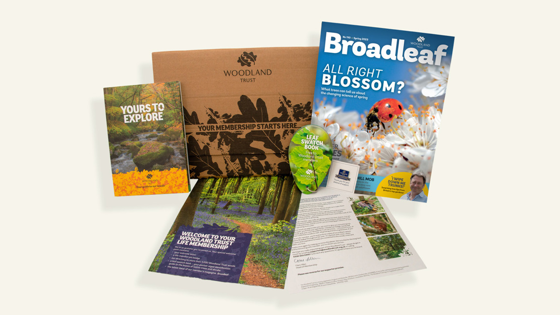 Shot of the Woodland Trust's membership pack for life members. There is a magazine, a welcome letter and a wood directory.