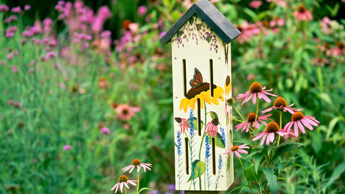 Butterfly House