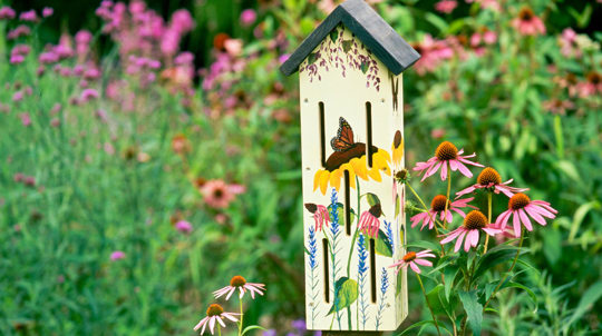 Butterfly House