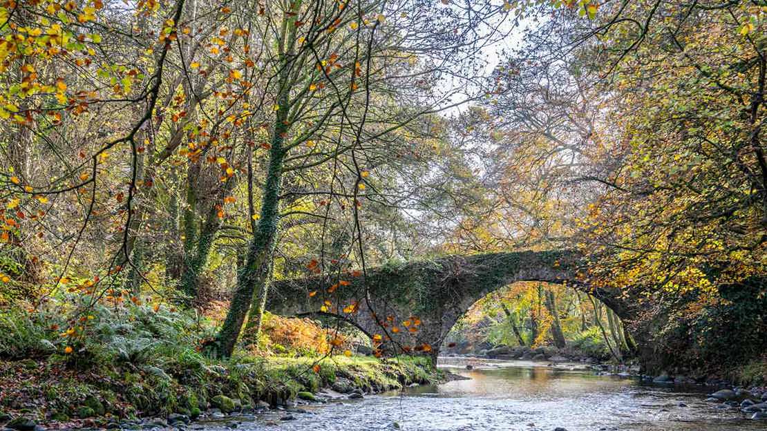 Bridge over river at Mourne Park