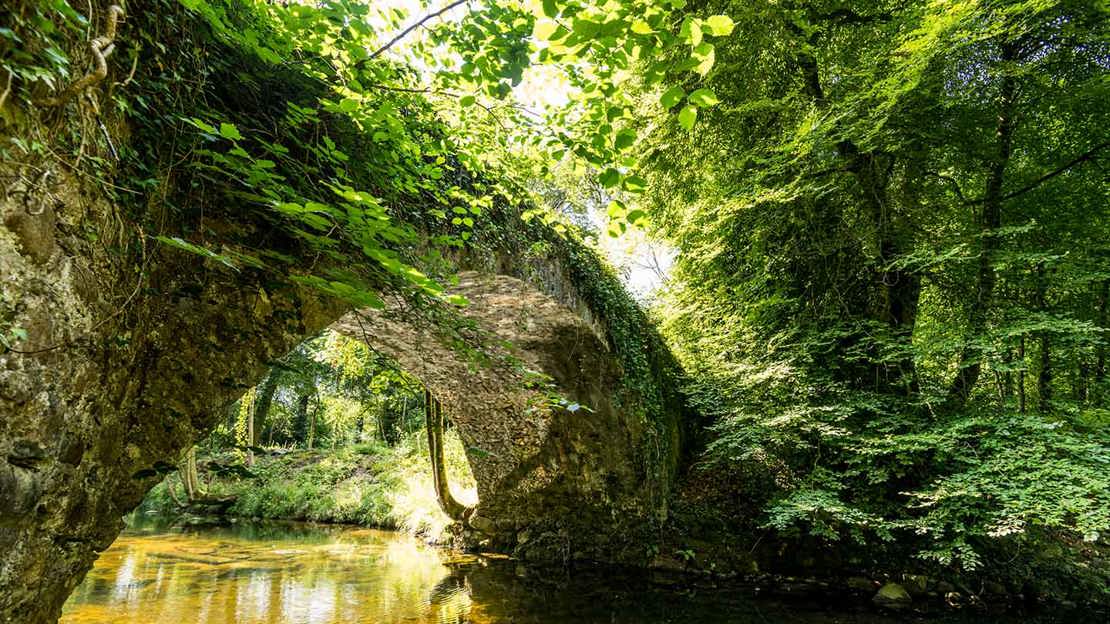Leafy stone bridge at Mourne Park