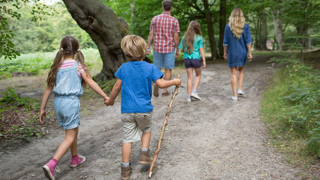 Family Walking Through Woods