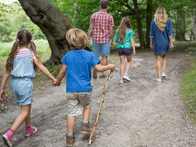 Umbraco.Cms.Infrastructure.PublishedCache.Property