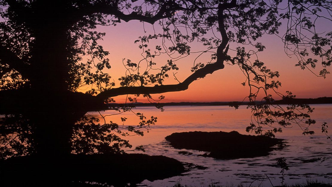 view of the sunset over water at Pond Wood