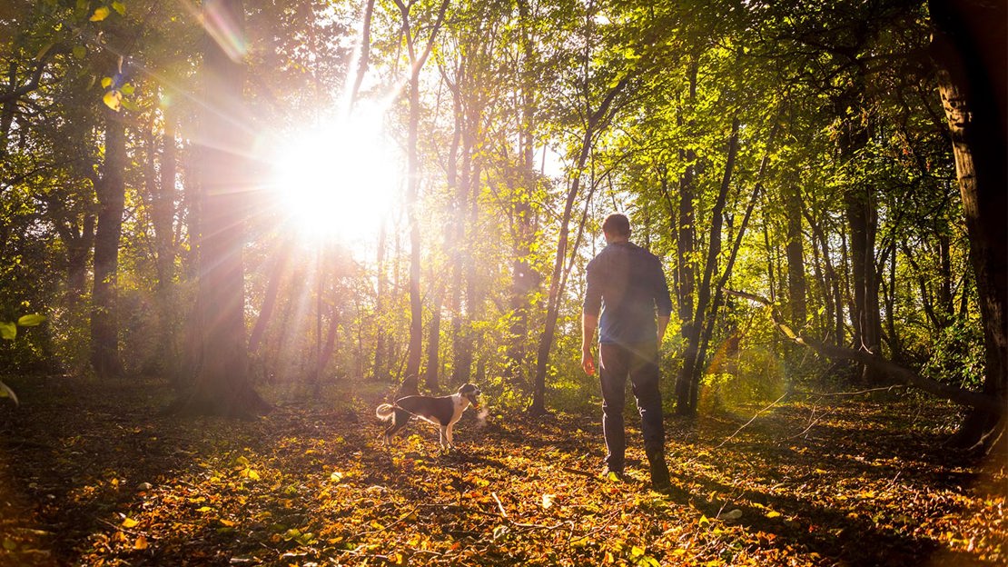 Man walking dog in woods
