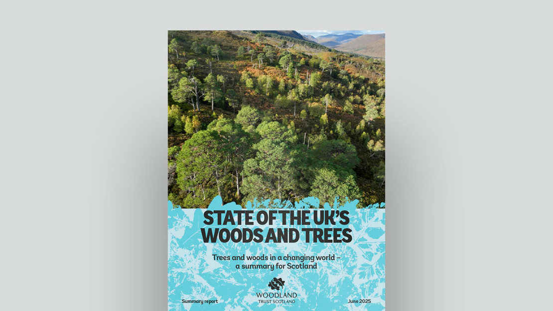 State Of The UK’S Woods And Trees 2025 Scotland Document Cover State Of The UK’S Woods And Trees 2025 Scotland Document Cover