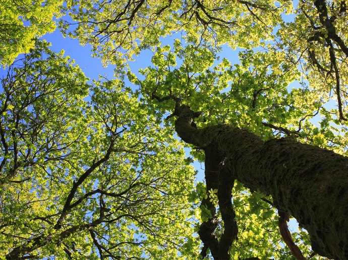 Umbraco.Cms.Infrastructure.PublishedCache.Property