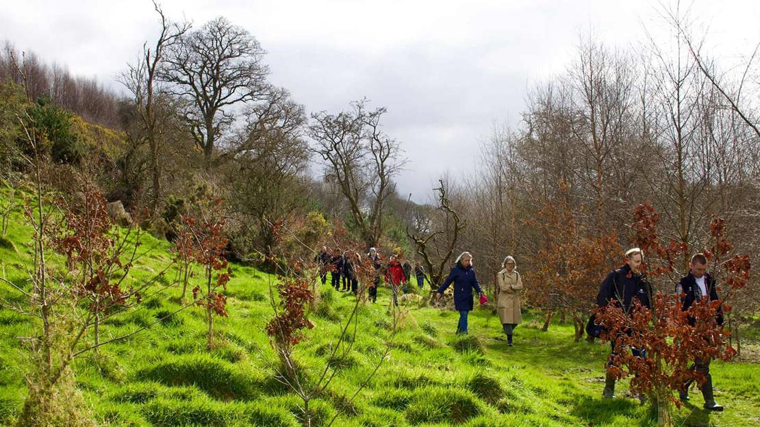 Group of people walking through grassy area amongst autumnal trees.