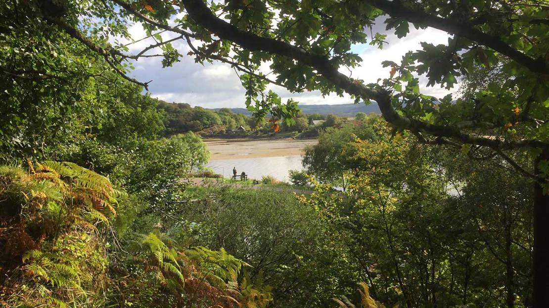 View through a gap in lush woodland towards the coastline.