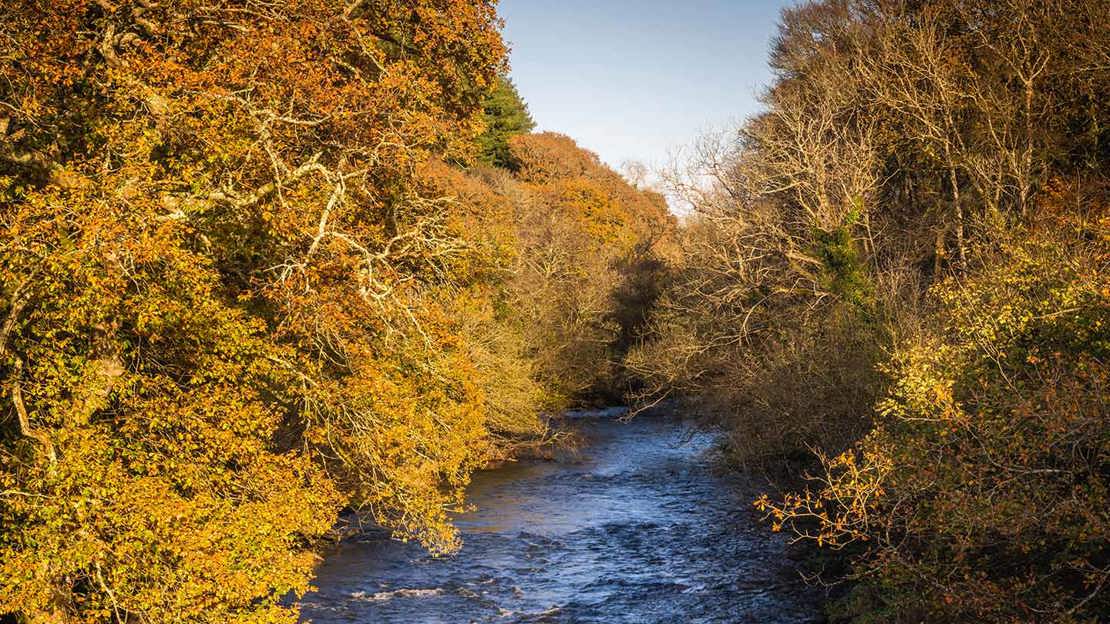 Wals Rivers Restoring Wales’ Rivers - Woodland Trust