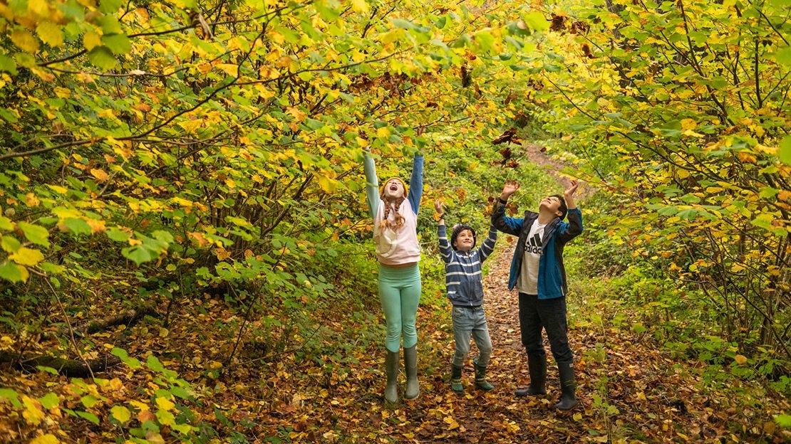 Children playing with autumn leaves