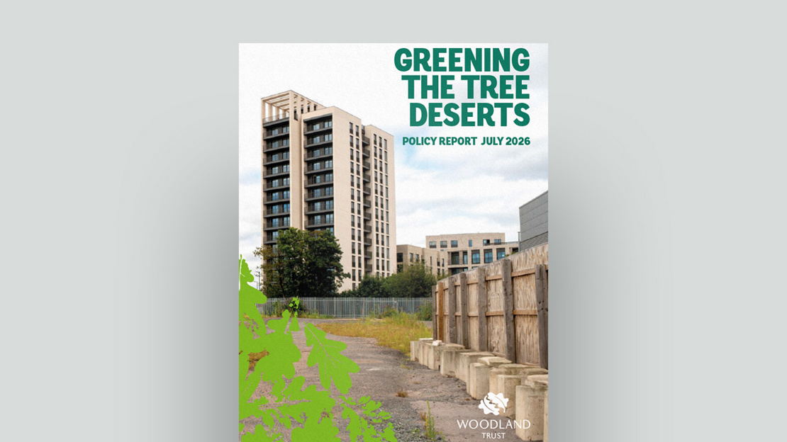 Greening the Tree Deserts publication document cover