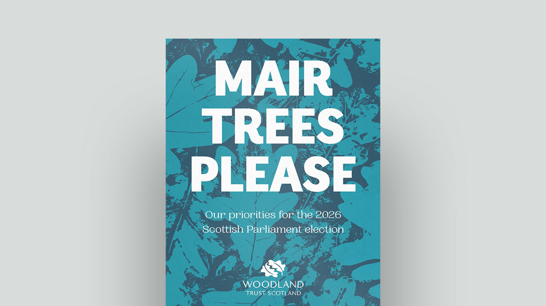 Mair Trees Please Scottish elections 2026 document cover