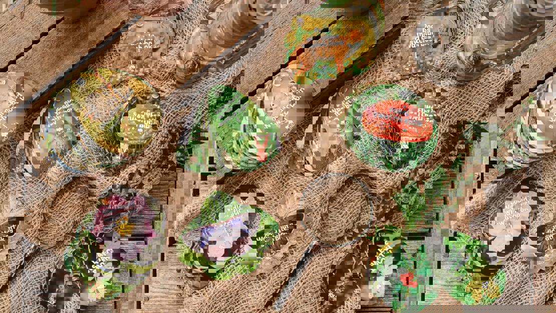 Seven colourful nature ID guides laid out on a table