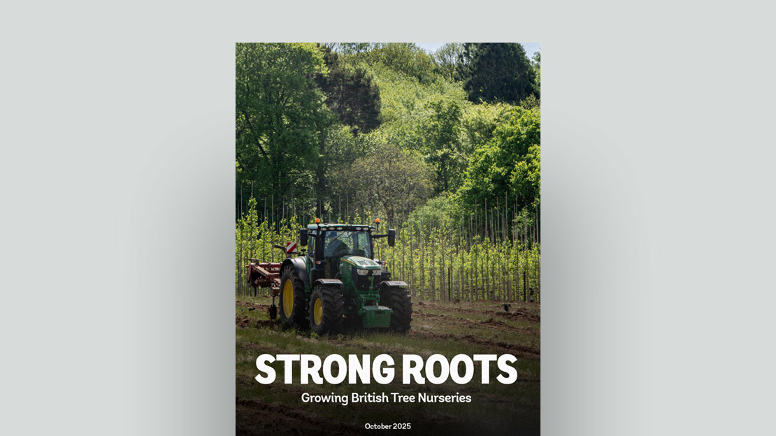 Strong Roots document cover Strong Roots document cover