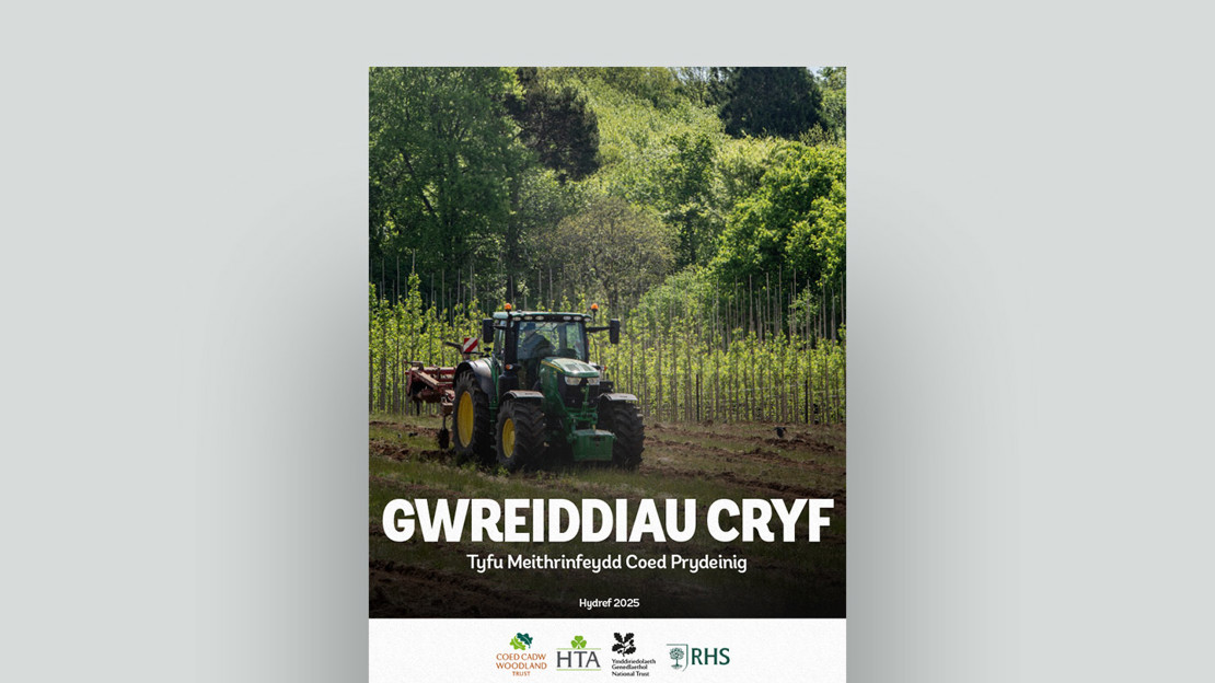 Strong Roots report welsh language document cover Strong Roots report welsh language document cover