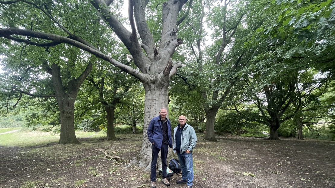 Two people stand beneath a beech tree