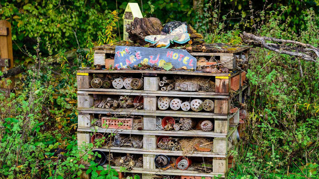 How to Make a Bug Hotel - Woodland Trust
