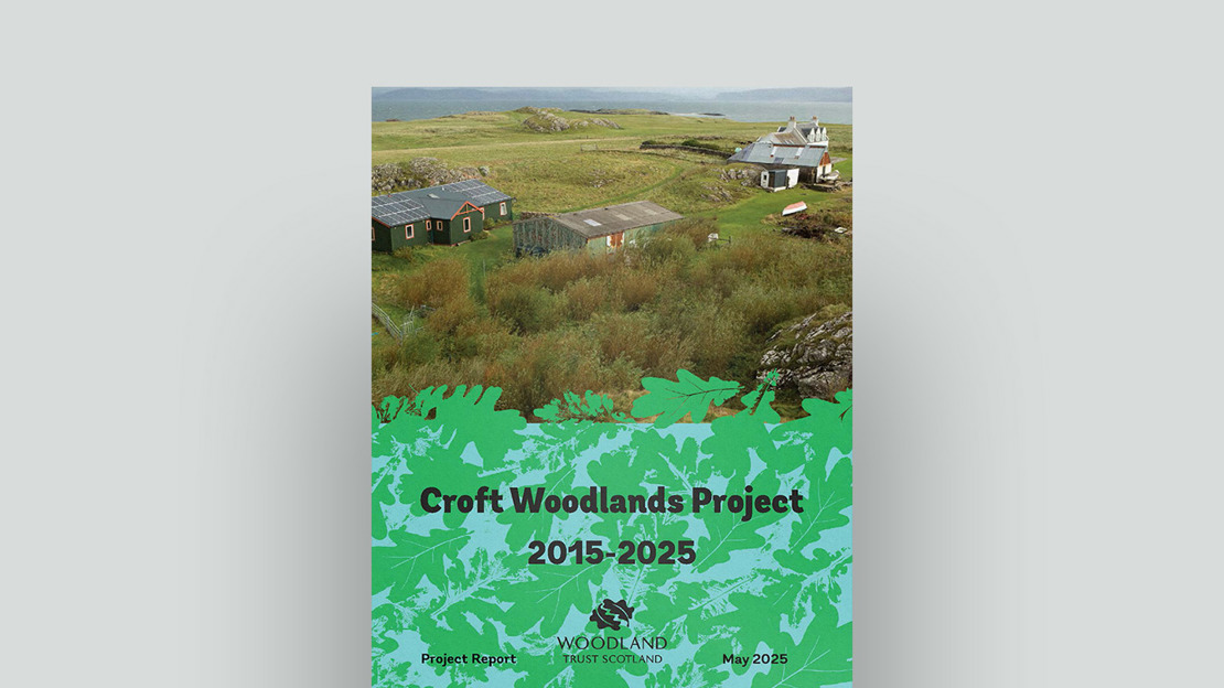 Croft Woodlands Project Report 2015 2025 Document Cover